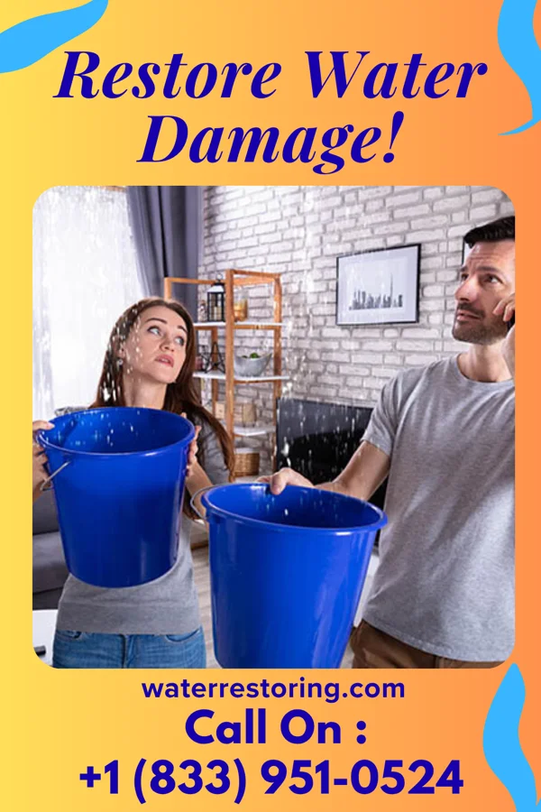 water restoration Local Property Restoration Services Forest Hills