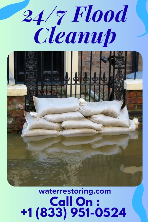 24/7 Flood Cleanup in Forest Hills, MI