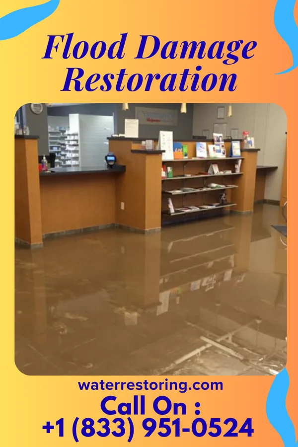 Flood Damage Restoration in Forest Hills, MI
