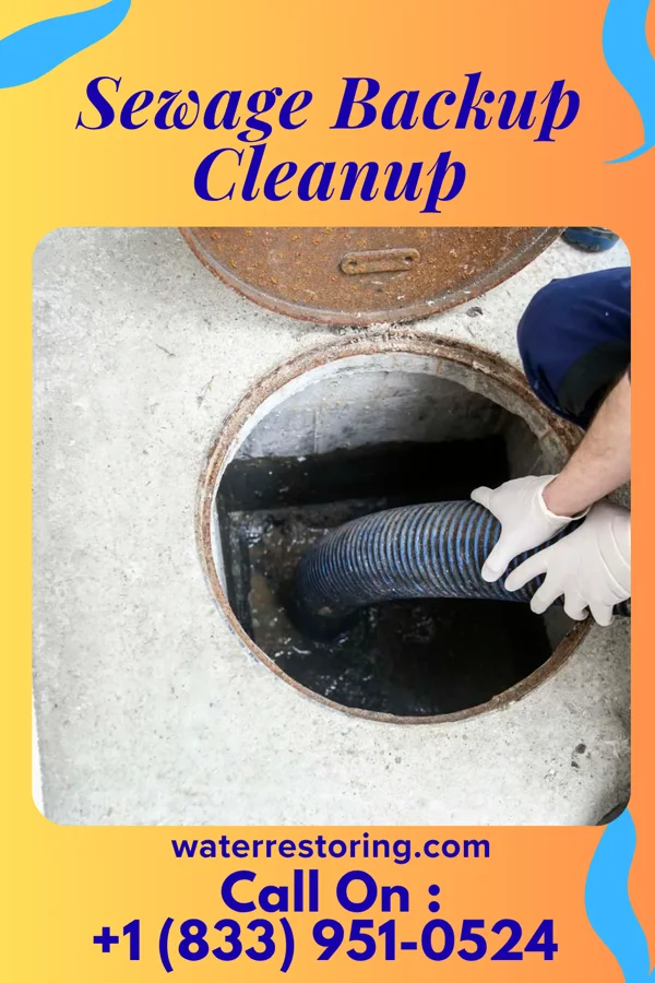 Sewage Backup Cleanup in Forest Hills, MI